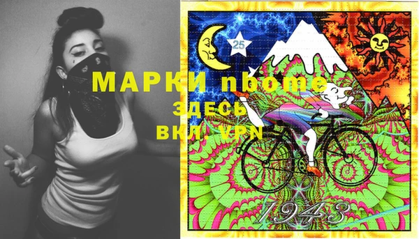 ешки Бородино