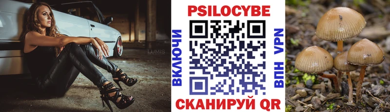 где можно купить наркотик  Верхняя Тура  Галлюциногенные грибы Psilocybine cubensis 