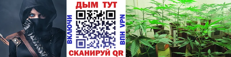 Марихуана ГИДРОПОН гидра зеркало Верхняя Тура где продают наркотики